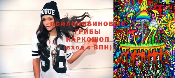 соль ск Михайловск