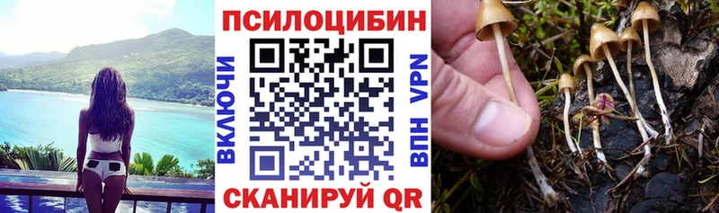 Галлюциногенные грибы мухоморы  Купить  Евпатория 